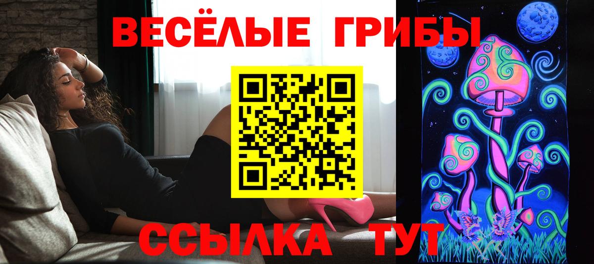 Псилоцибиновые грибы мицелий Кириши