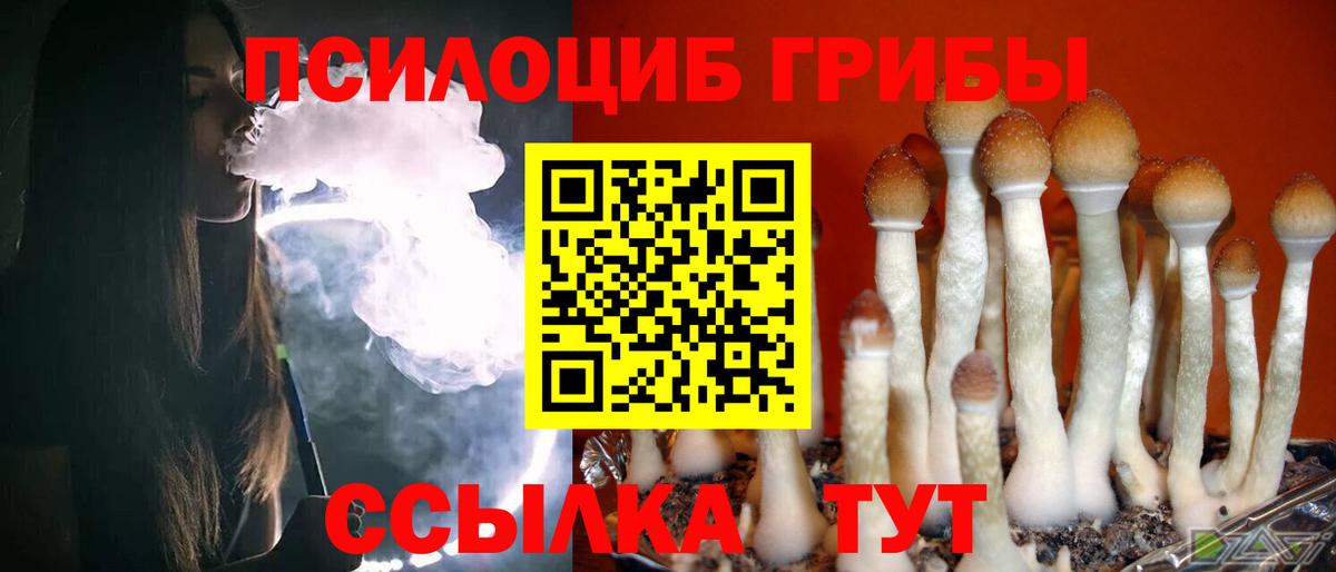 Кириши  Галлюциногенные грибы Cubensis  Вход с VPN  купить   Галлюциногенные грибы MAGIC MUSHROOMS 